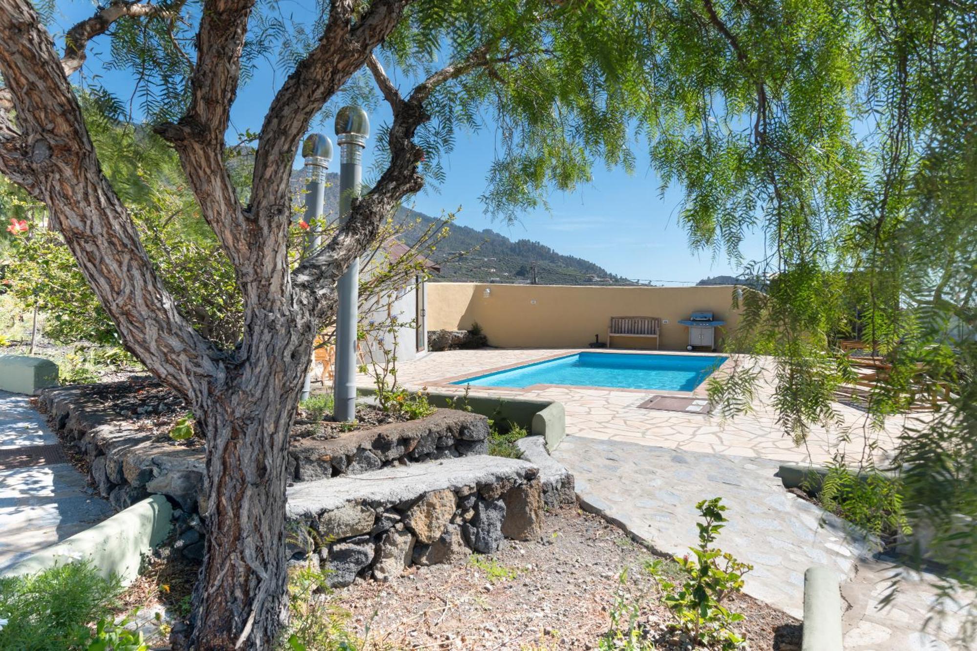 El Jardin De Pleyades